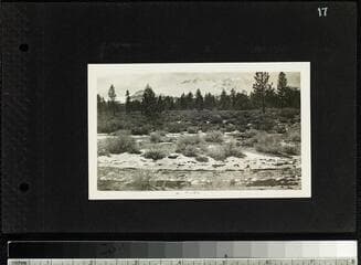 Go to image 19.