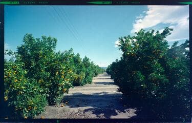 Go to image 3.