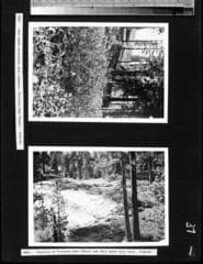 Go to image 40.