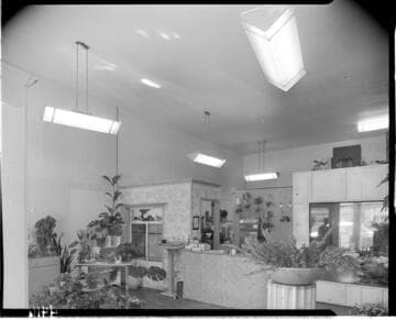 Commercial lighting