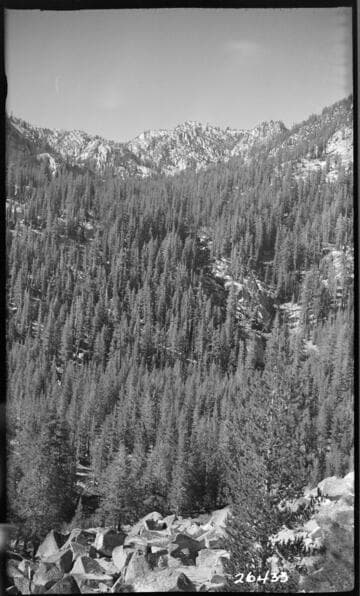 Fish Valley