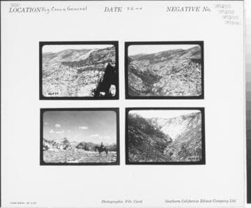 Fish Valley