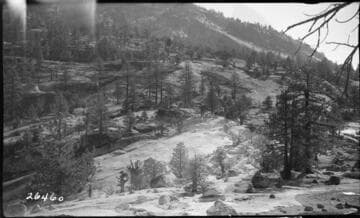 Big Creek general