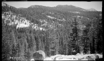 Fish Valley