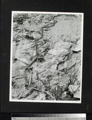 Go to image 119.
