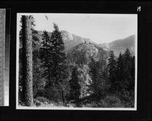 Go to image 19.