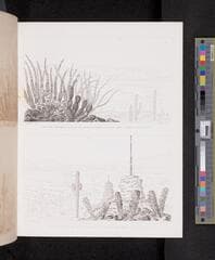Go to image 248.