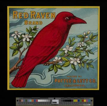 Red Raven Brand