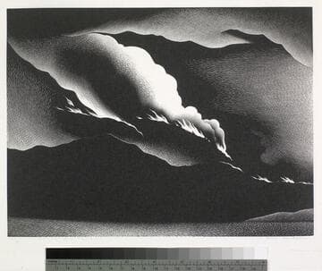 Death of a Forest