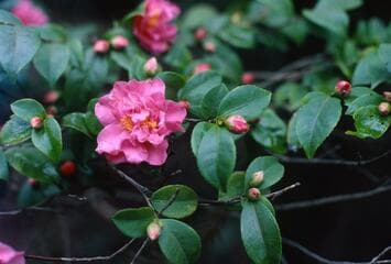 Go to image 4.