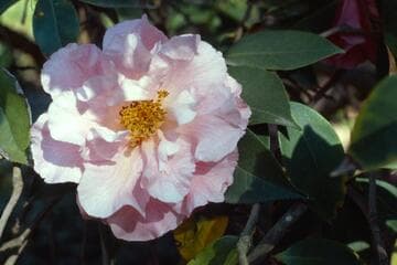 Go to image 3.