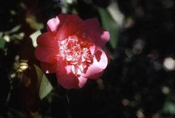 Go to image 3.