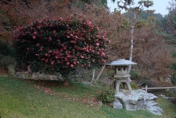Go to image 6.