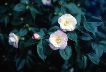 Go to image 9.