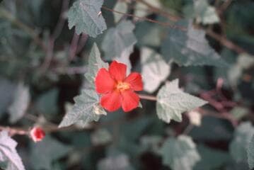 Go to image 2.