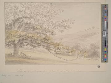 Albury Park