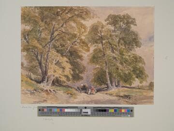 Lane with Trees