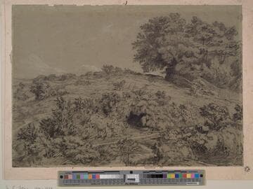 Mousehold Heath
