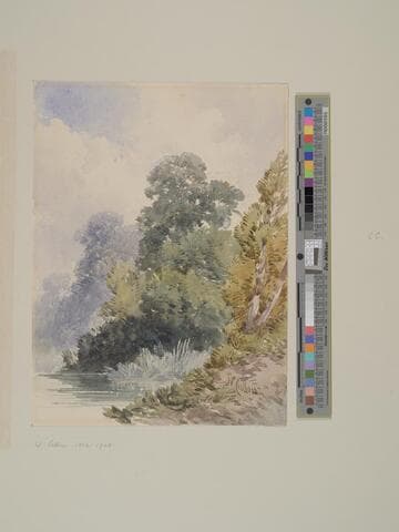 Lake Scene