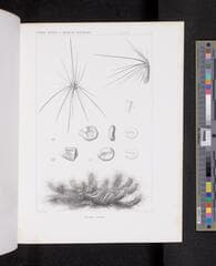 Go to image 638.