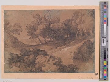 Woodland Scene