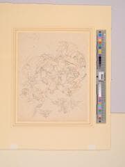 Go to image 4.