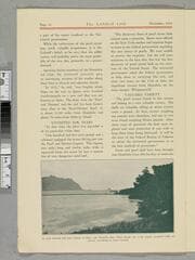 Go to image 11.