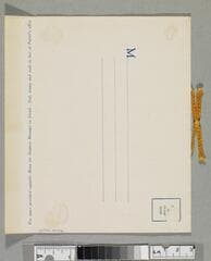 Go to image 8.