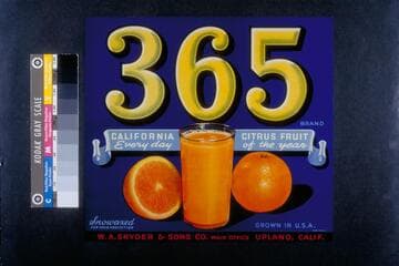 365 brand