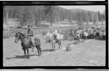 Survey pack train
