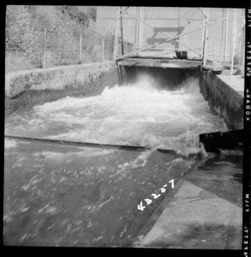 Kaweah #3