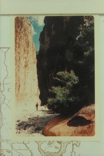 209 Mile Canyon