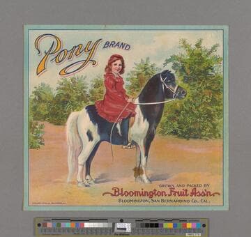 Pony Brand