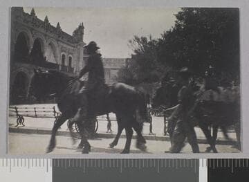 Veracruz, plaza